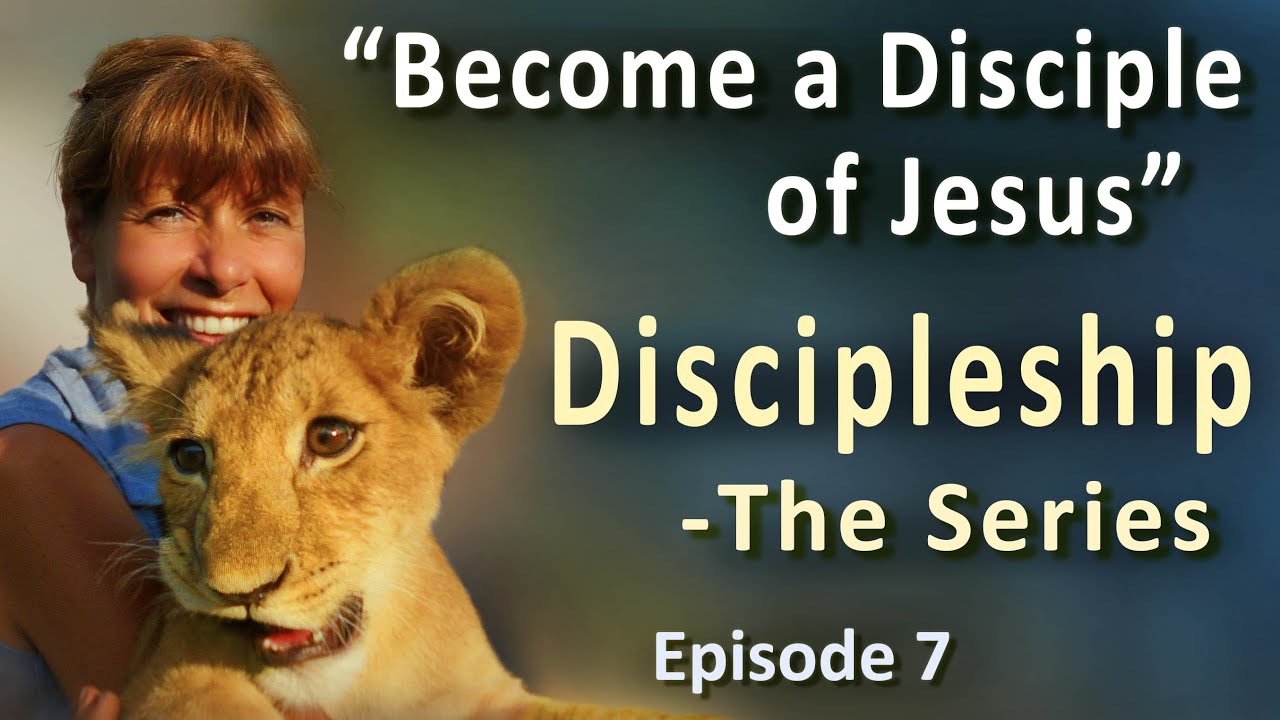 Do Your Alms In Private, Lay Up For Yourself Treasures In Heaven, Seek First The Kingdom Of God!