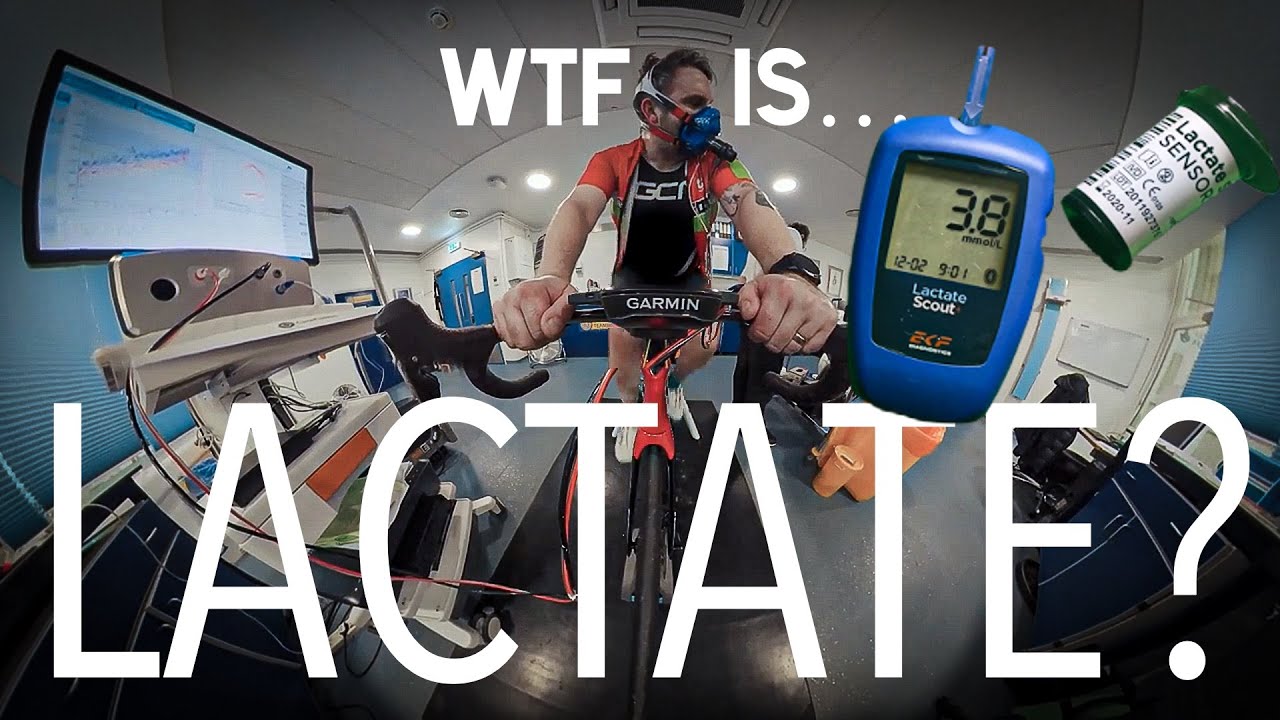 WTF IS LACTATE and why you NEED to know about it!! #lactate #lacticacid #threshold training