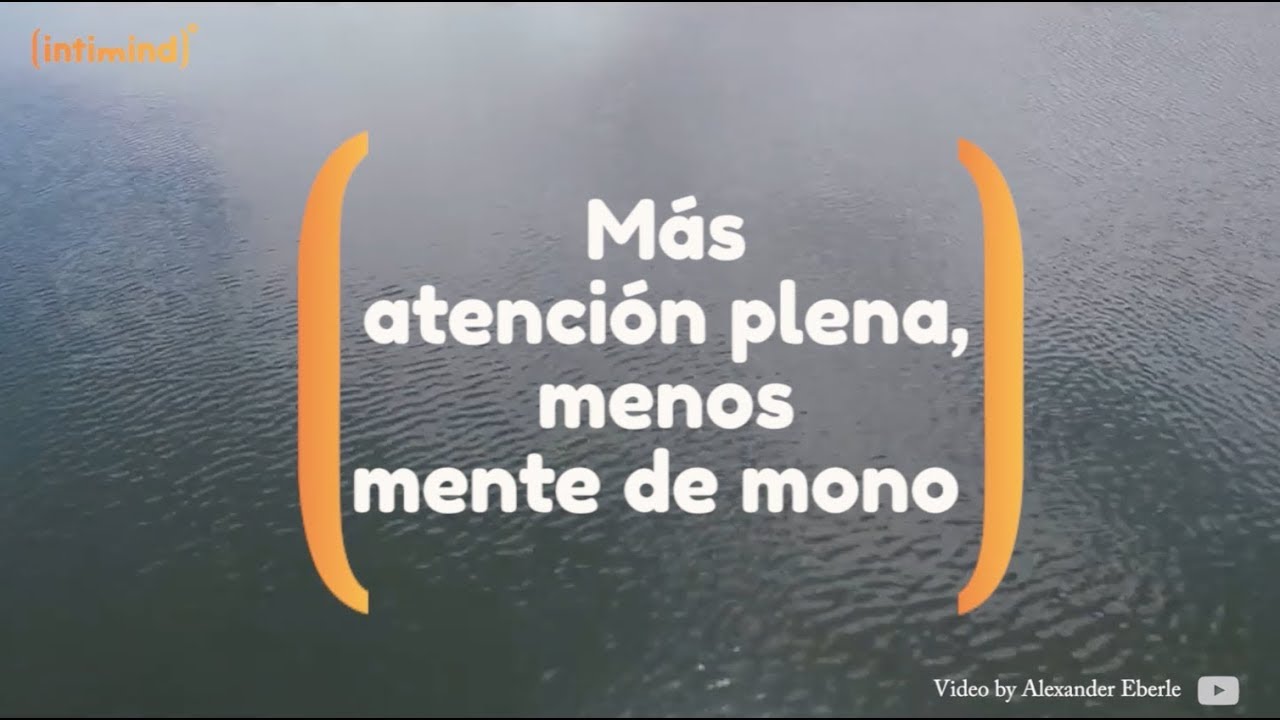 M&aacute;s atenci&oacute;n plena, menos mente de mono