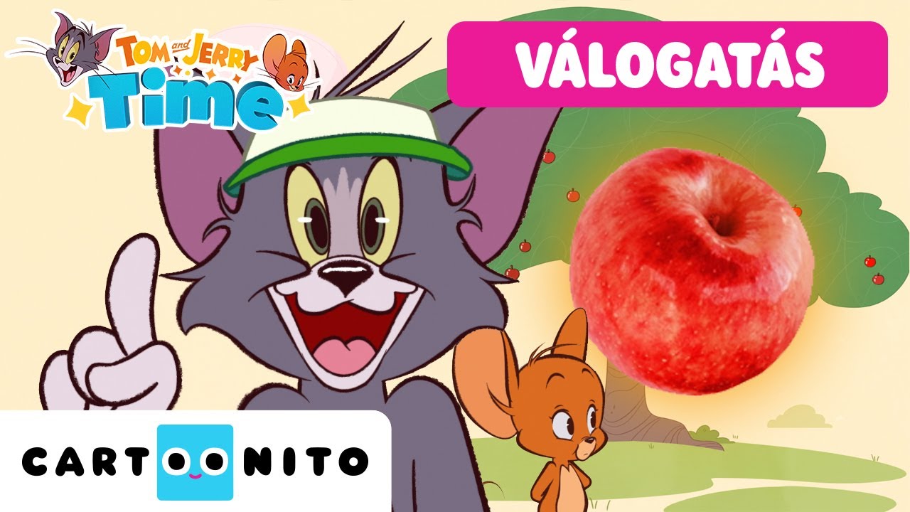 Számolás Tommal! 🍎🧮 | Válogatás | Tanulás Tommal és Jerryvel | Tom & Jerry Time | Cartoonito