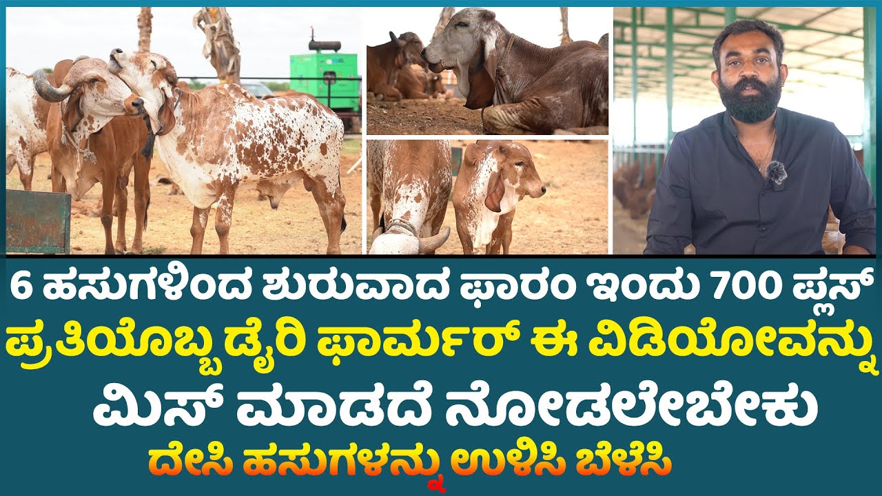 Hebbevu Farms I Success Story of Gir Cow Dairy Farming ಇವರ ಅನುಭವದ ಪ್ರತಿಯೊಂದು ಮಾತುಗಳು ರೈತರಿಗೆ ಉಪಯೋಗ