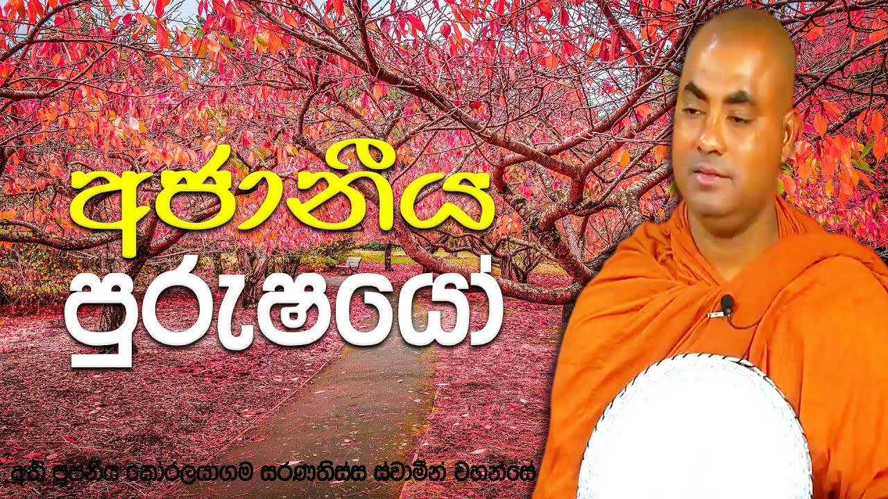 මෙම පිරිමින් ඉතා සුවිශේෂී. ලංකාවේද මෙවැනි අති විශේෂ වූ අය සිටියා | Koralayagama Saranathissa Thero