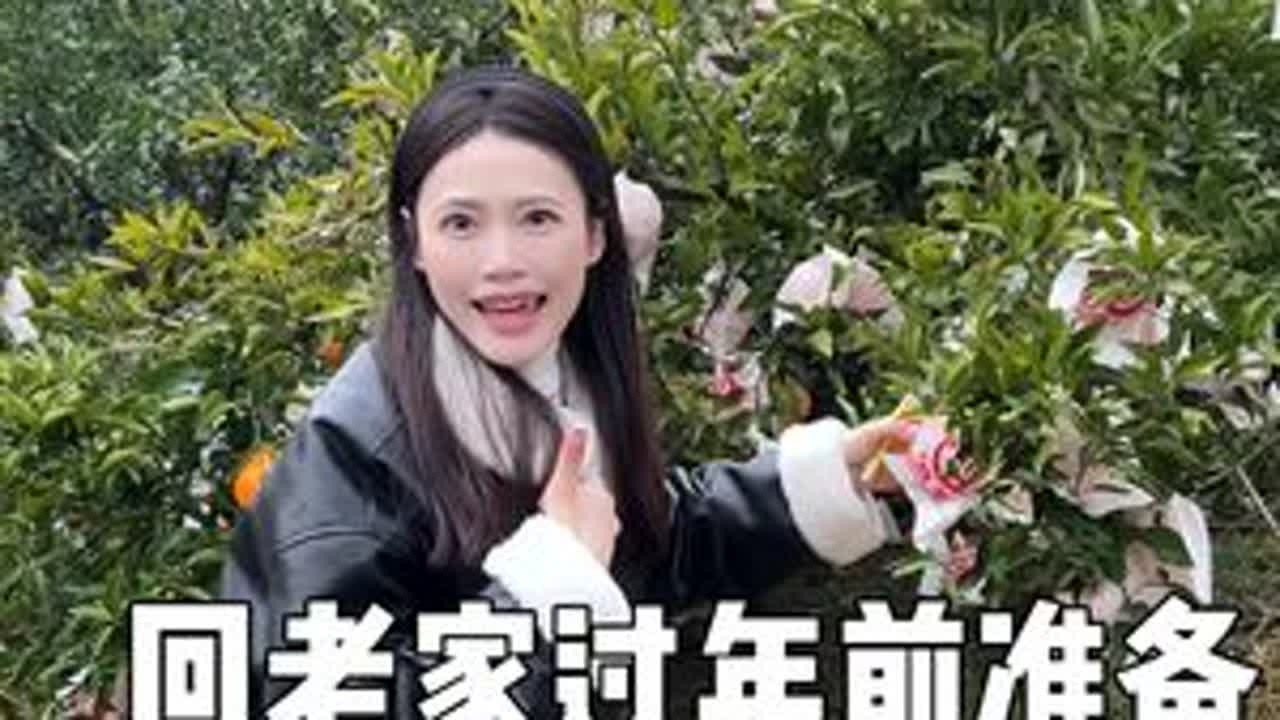 金黄的耙耙柑挂满枝头 新鲜的嘞 可惜下雨了嘟嘟没能体验#vlog日常 #记录真实生活 #婚后生活