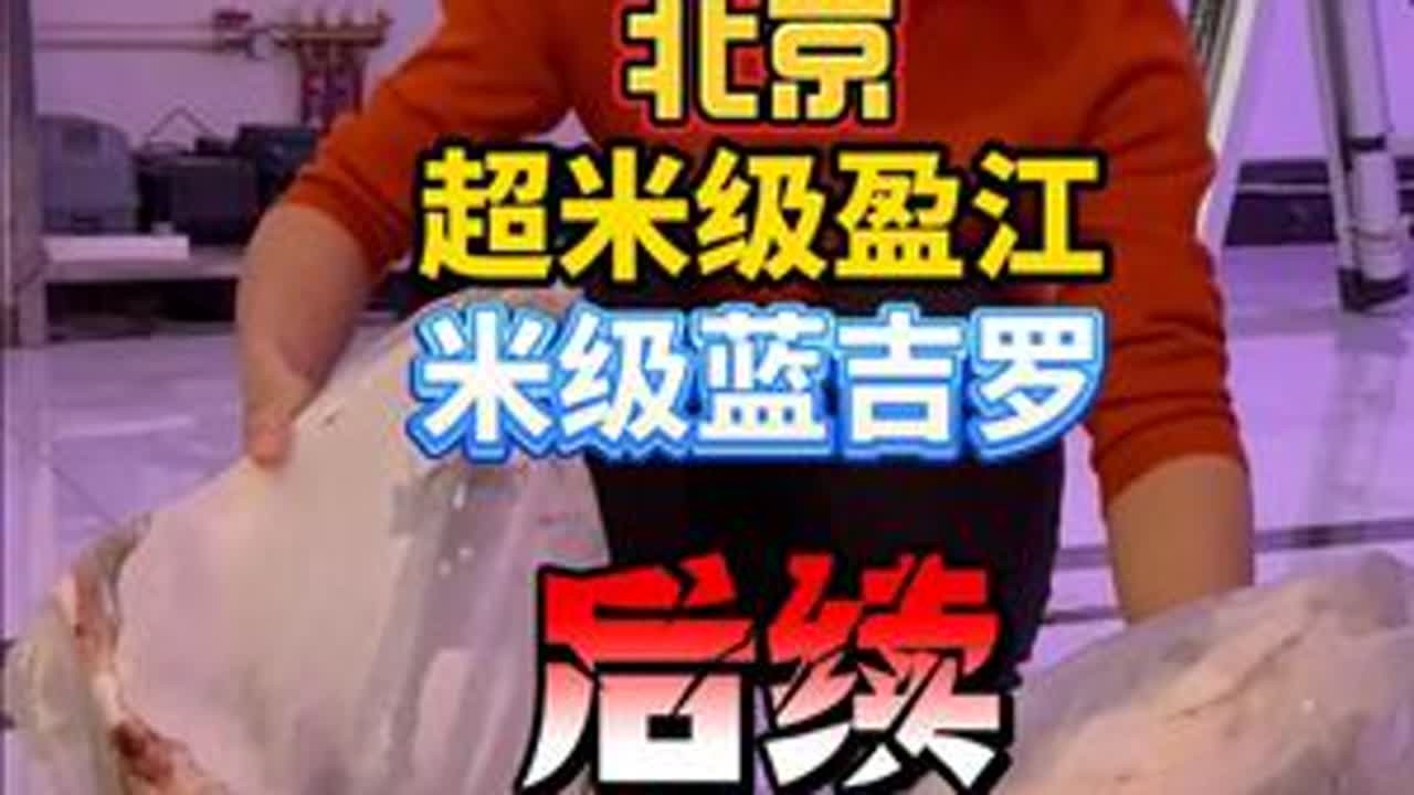 北京吉罗生死局收官！有遗憾，更让我反省！ 同时此行收获了好大哥夏总的教导，夏总玩鱼30多年，各品种的高端观赏鱼基本都玩到极致，可以说是养鱼圈里的“扫地僧”！@豆鱼先生创业版 @豆鱼先生剧透版 @...