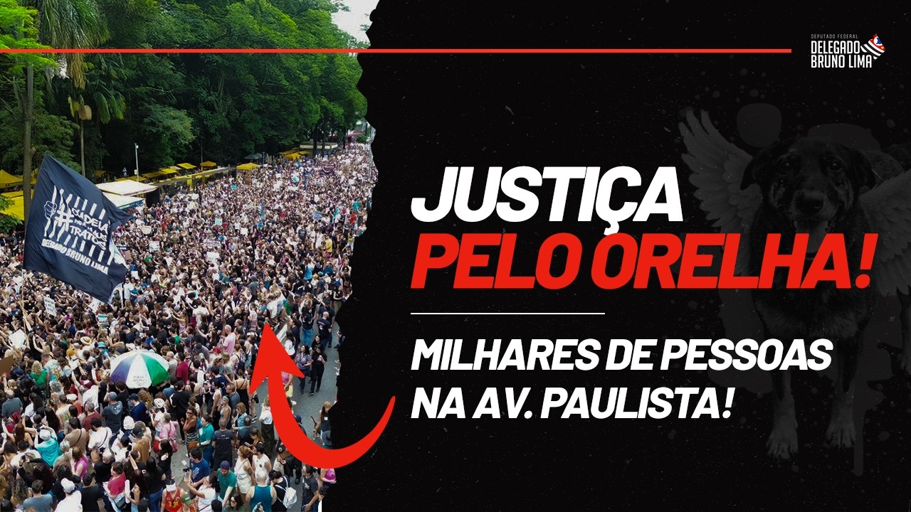 Orelha não m0rr3u em vão: A Manifestação que PAROU o Brasil no MASP!! ✊🐶