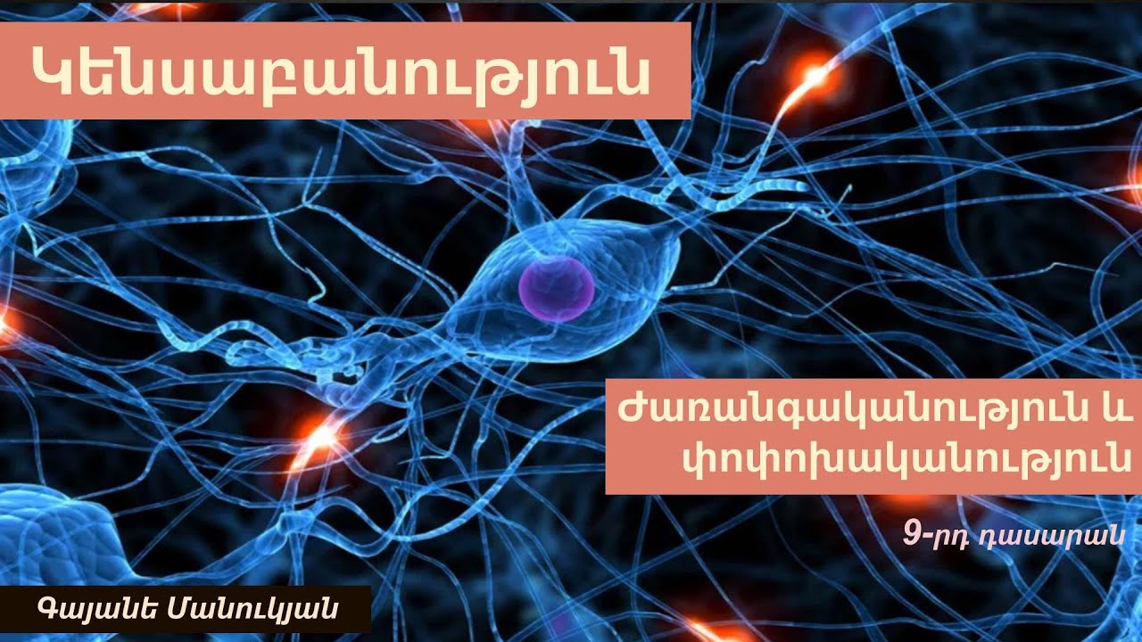 Ժառանգականություն և փոփոխականություն. 9-րդ դասարան