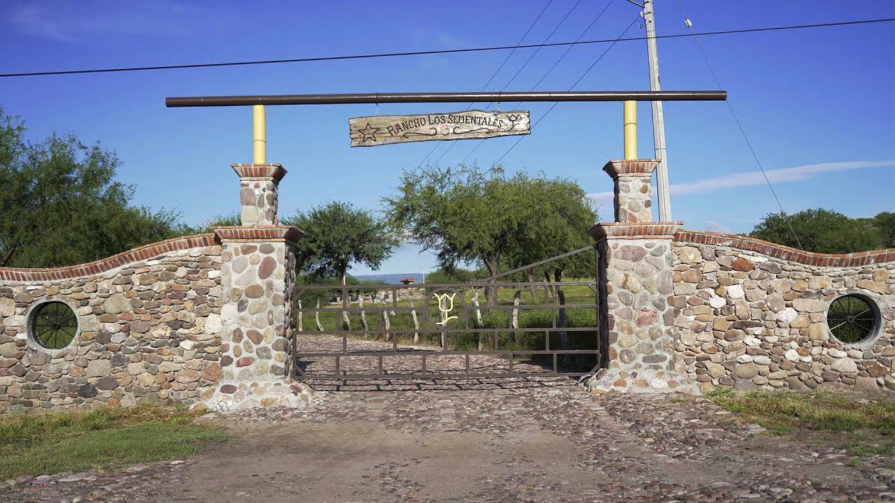 548. Rancho Los Sementales Beefmaster