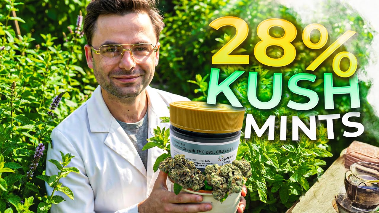 Kush Mints 28% &ndash; co naprawdę kryje ten surowiec?