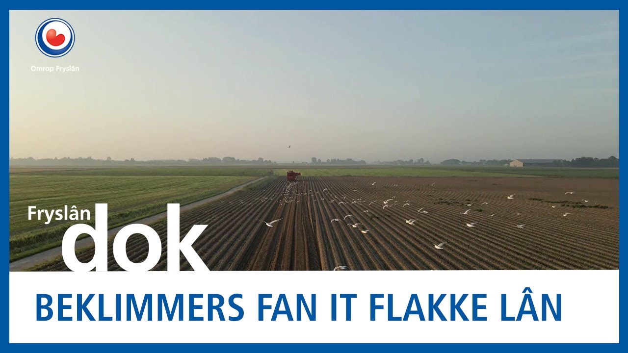 FRYSL&Acirc;N DOK: De Beklimmers fan it flakke l&acirc;n: #1 Perspektyf