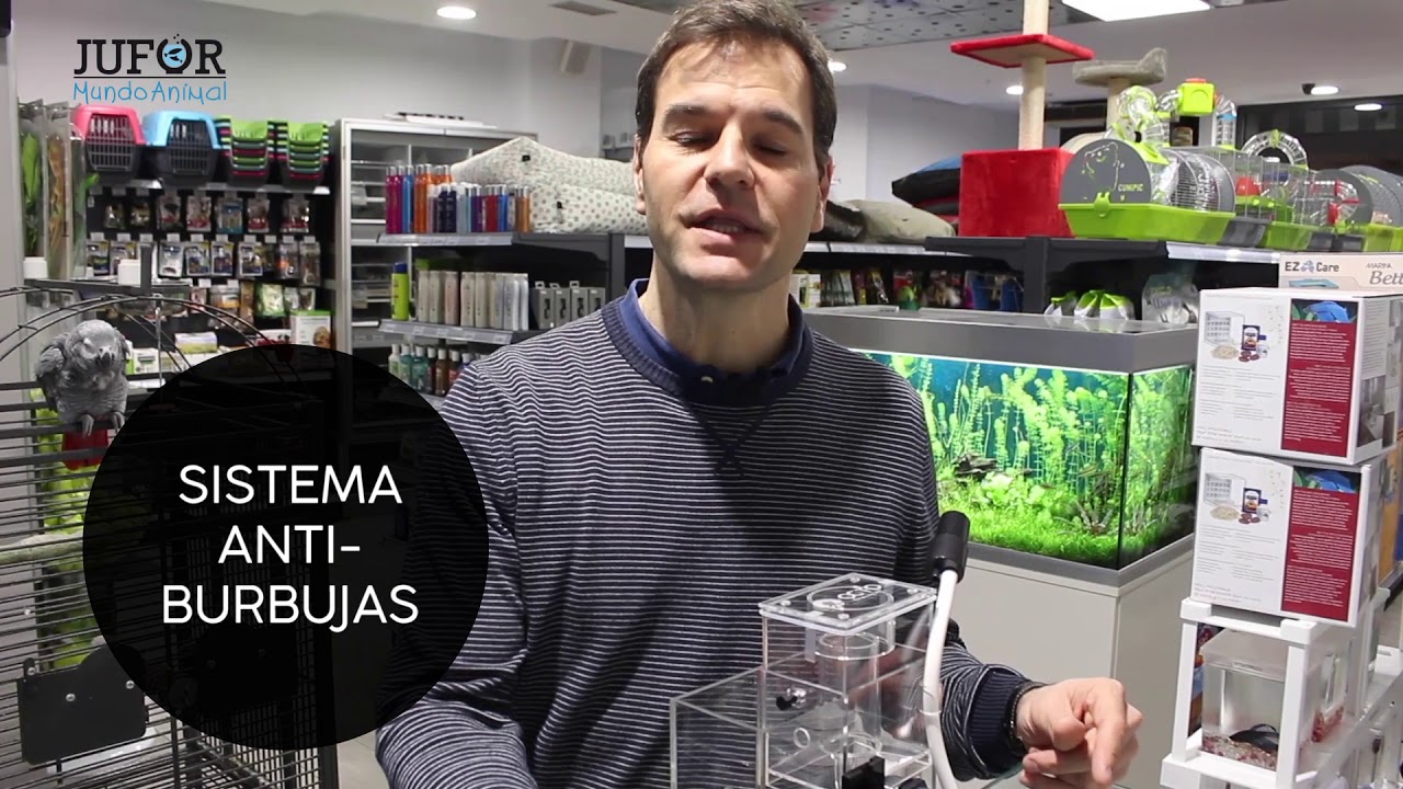 Transforma tu acuario de agua dulce en uno de agua salada o acuario marino