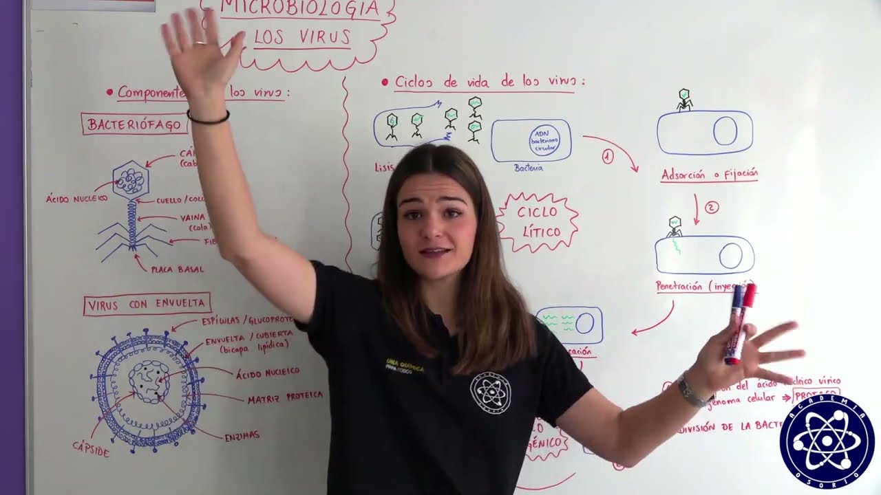 17. Microbiolog&iacute;a. Los virus