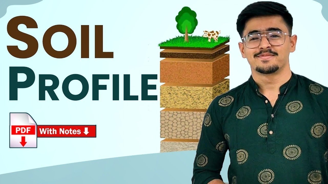 SOIL PROFILE - O, A, E, B, C, R HORIZONS, L, M, W LAYER #soilscience #icarjrf #soil