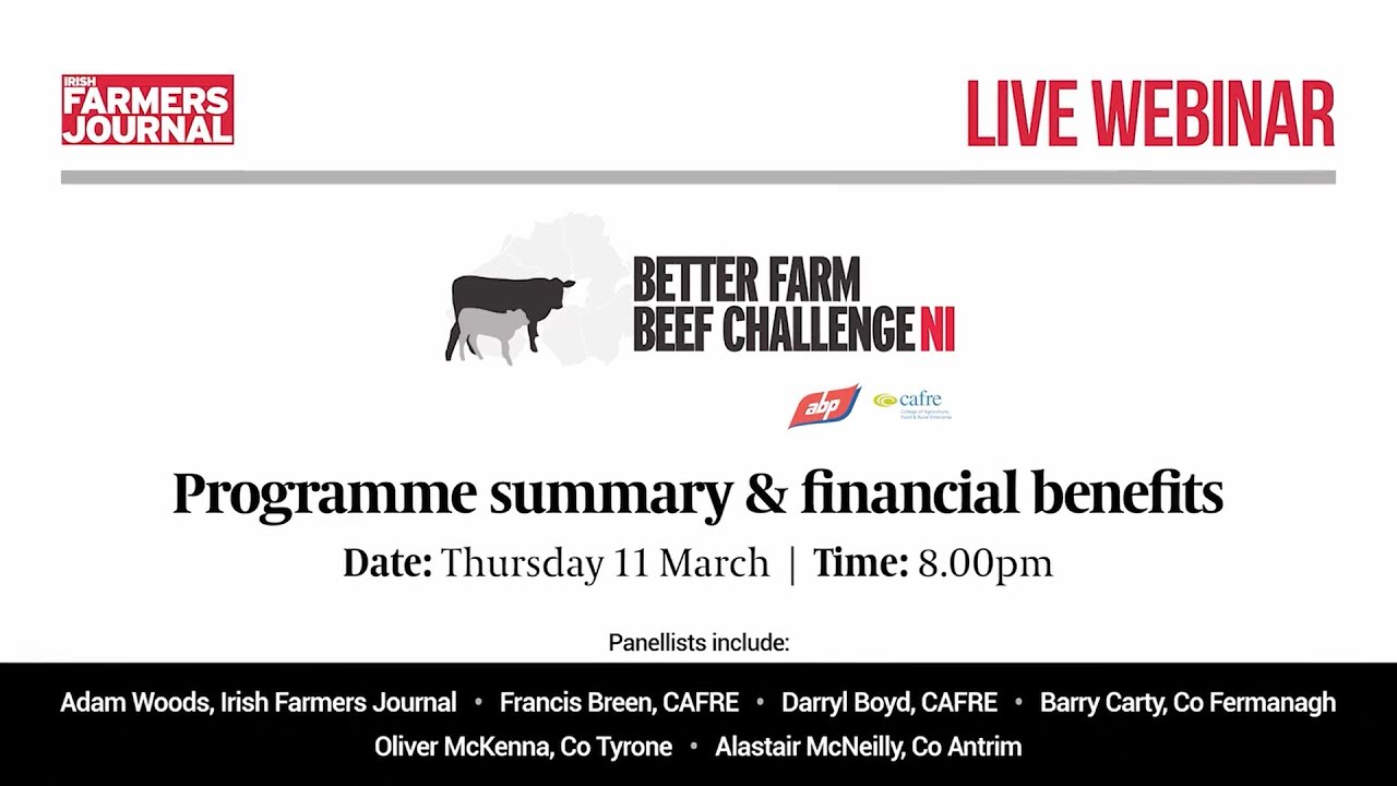 Better Farm Beef Challenge NI - Maximising margins in suckler beef production