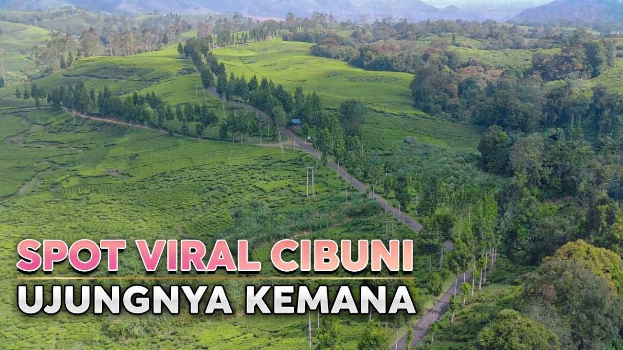 Perjalanan Menjelajah Spot Foto Viral Cibuni Estate