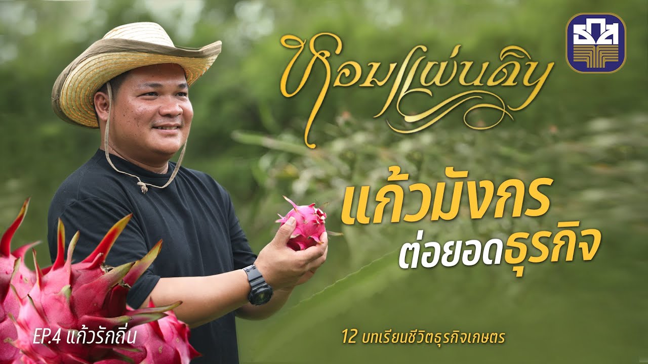 หอมแผ่นดิน ตอน แก้วรักถิ่น | แก้วมังกรต่อยอดธุรกิจ | วิสาหกิจชุมชนแก้วมังกรตำบลบ้านถิ่น จ.แพร่