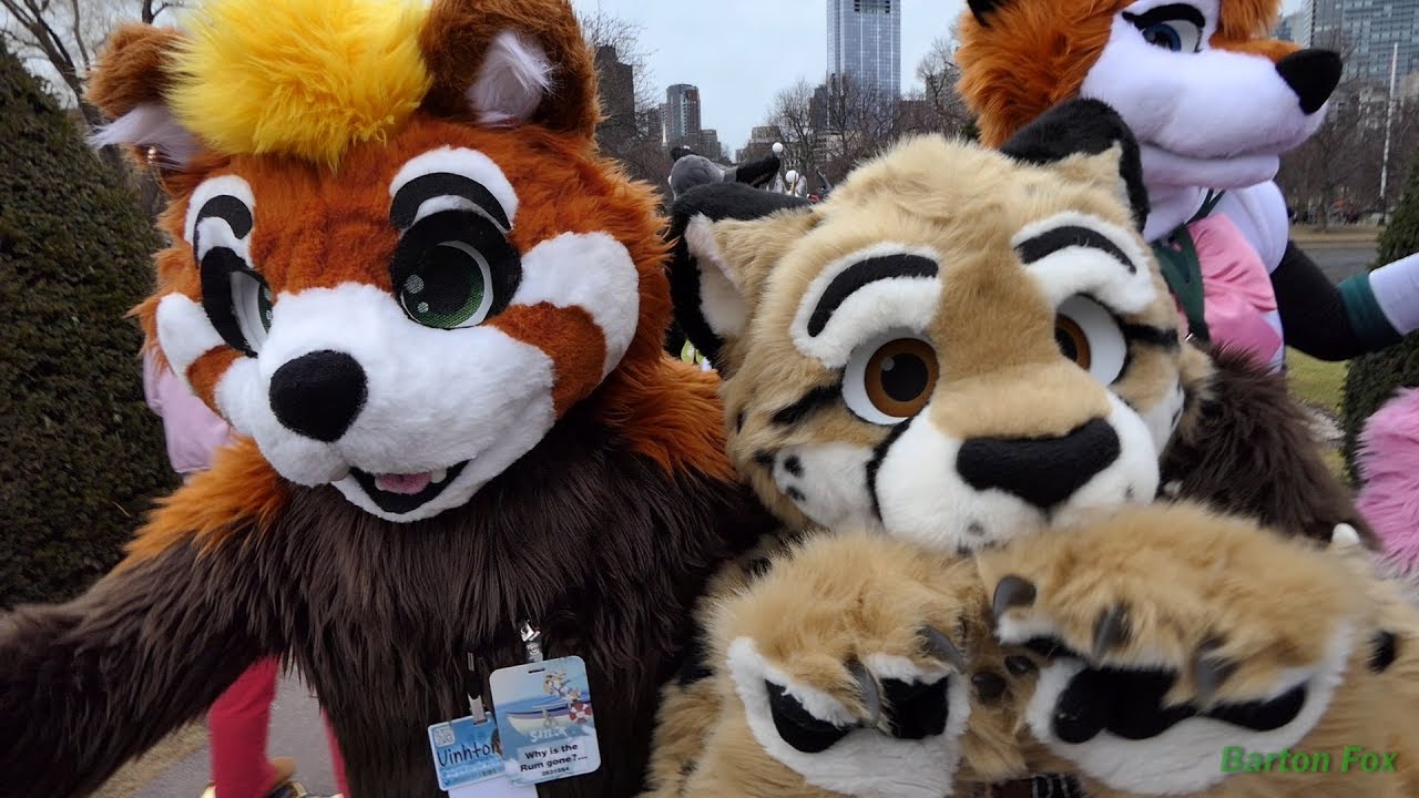 Anthro New England 2018 - Random Clips