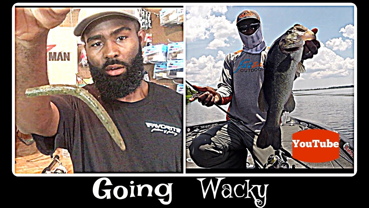 Fishing the Wacky Rig (B.lat)