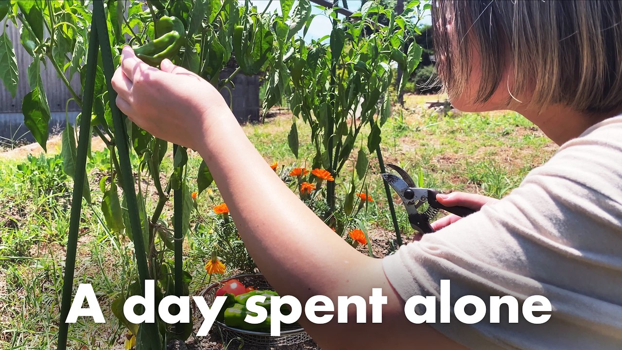 Japan Vlog | A day spent alone | Cozy time at home