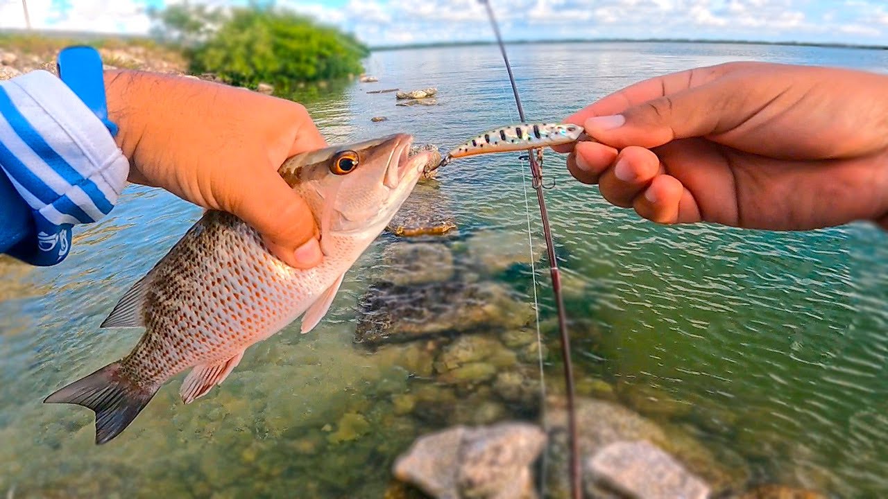 Pesca ULTRALIGHT de TARDE \ Pesca en YUCATAN  💦🐟