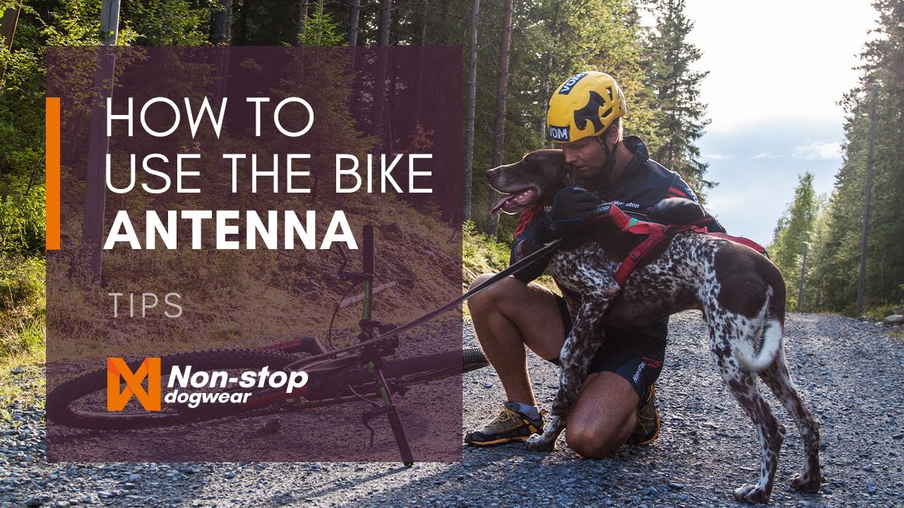 How to use Non-stop dogwear Bike antenna