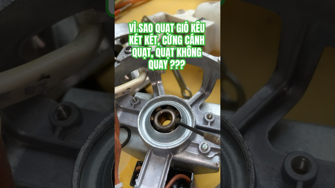 🤷&zwj;♂️ Quạt gi&oacute; k&ecirc;u k&eacute;t k&eacute;t, c&aacute;nh quạt bị cứng, quạt kh&ocirc;ng quay l&agrave; bị g&igrave;❓ #solutions #shopee #lazada