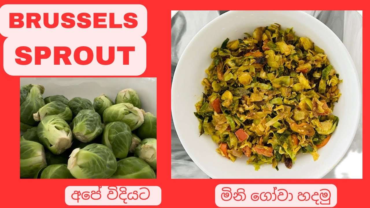 Brussels sprout curry recipe | අපේ විදියට හදමු #brusselssprouts #cabbagerecipe