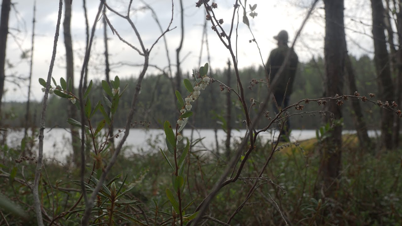L&auml;hiretki j&auml;rvelle ja Muuratharju - Kolmen p&auml;iv&auml;n reissu. | ENG SUB |