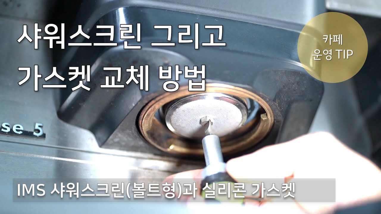 커피 머신 가스켓, 샤워스크린 교체 방법 (에스프레소 머신 란실리오 클라세5)