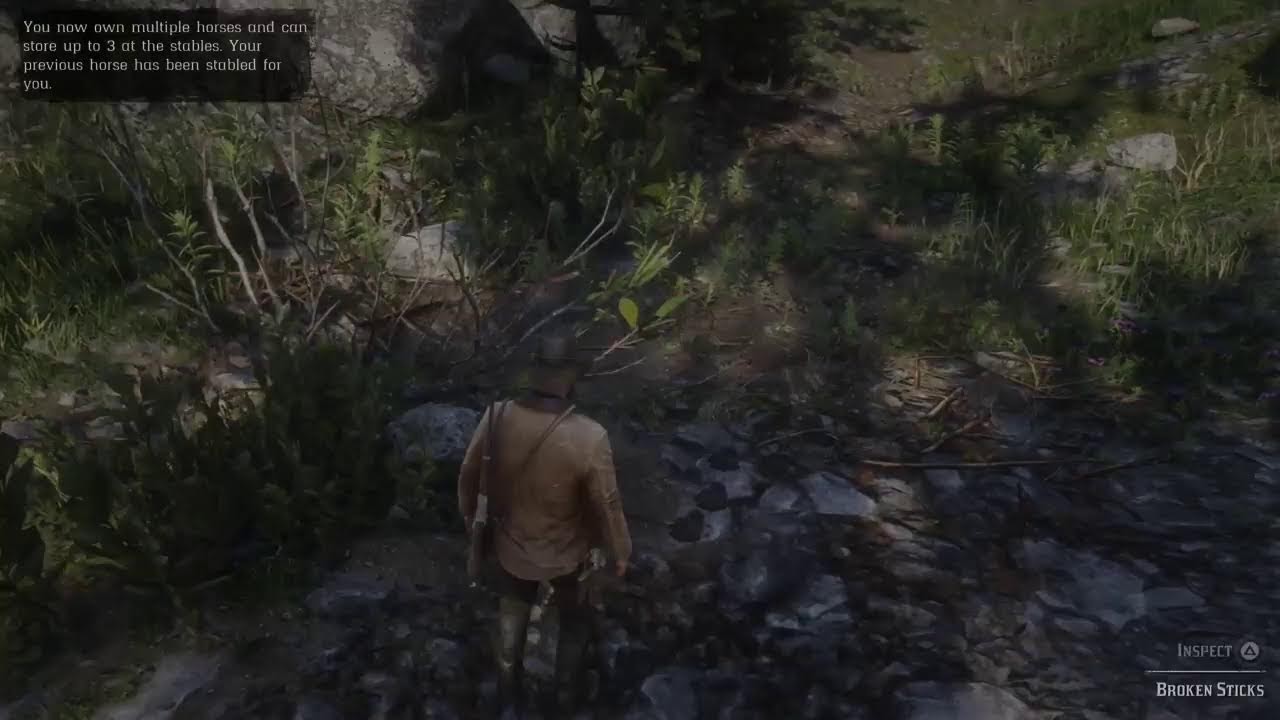 Red Dead Redemption 2 Live Stream
