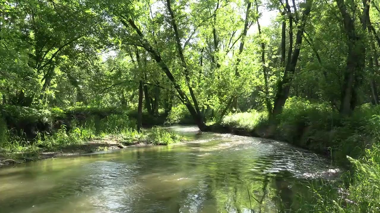 Beautiful | 4K Nature | Ambient Experiences | Calming Aura