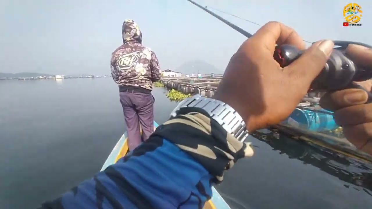 Keseruan mancing toman di waduk #jatiluhur