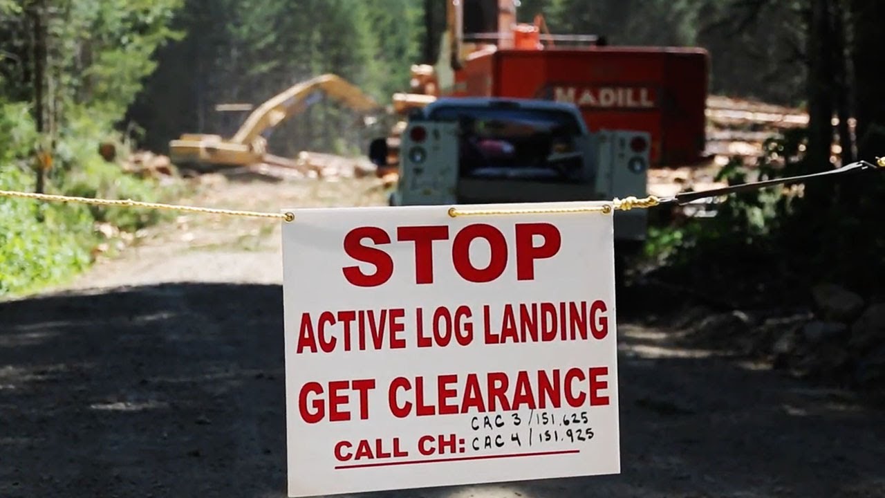 Erickson Timber Harvesting | British Columbia