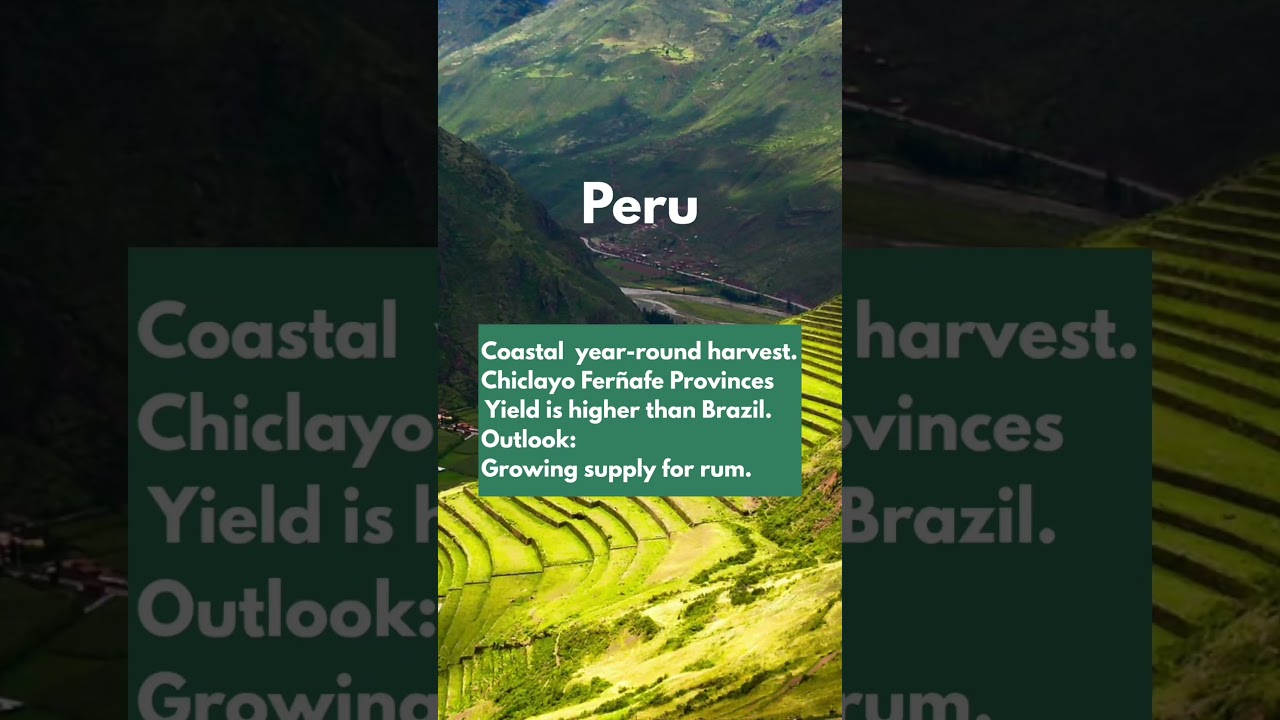 South America Sugarcane Harvest Update. Brazil, Ecuador, Colombia, Venezuela, Peru, Guyana #rum