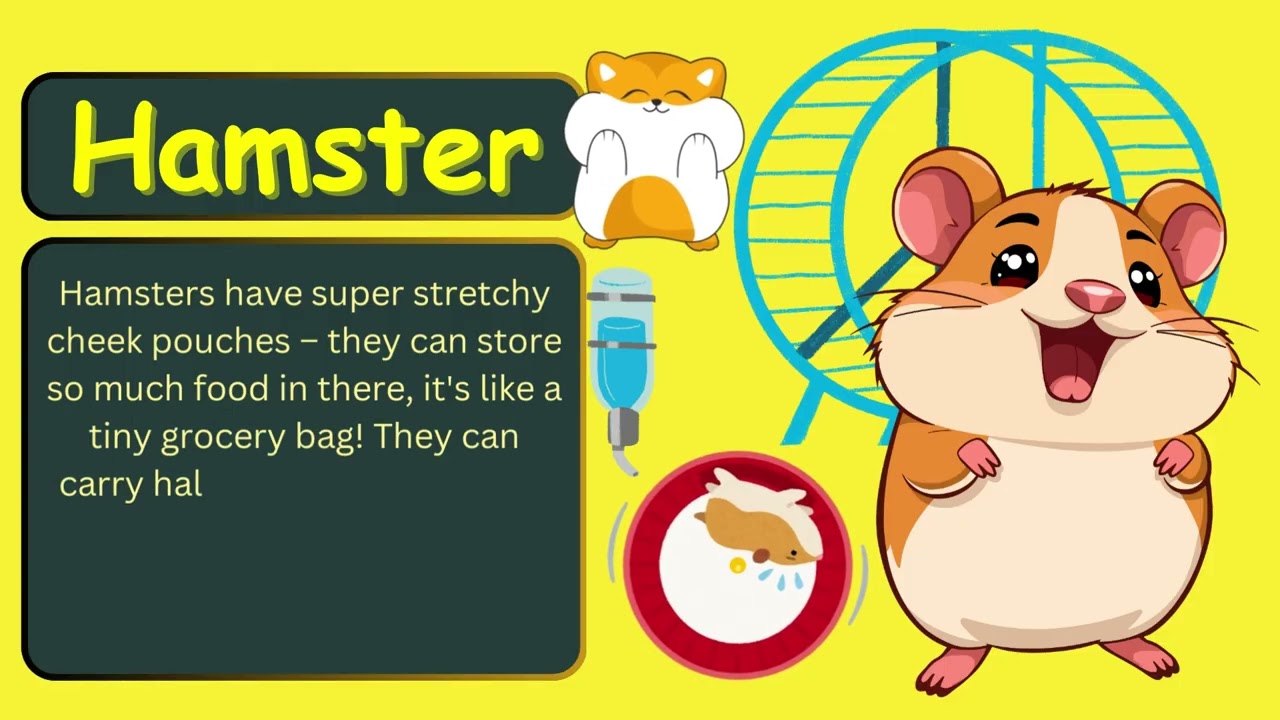 Pet Animals - Fun Facts | Kids and Toddlers