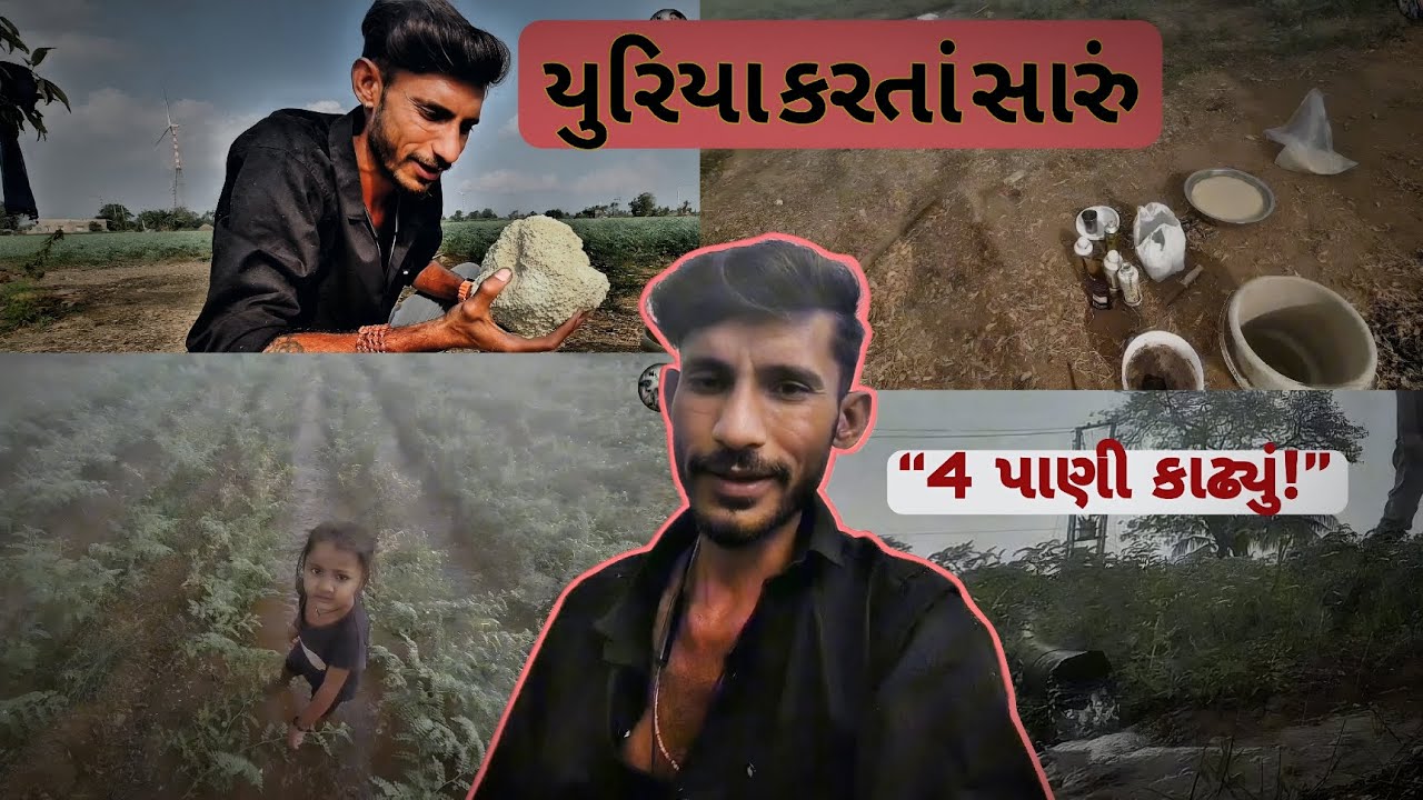 યુરિયા કરતા સારું ઉપાય 😲 | ચણાના પાકમાં 4 પાણી કાઠ્યું !! Part 1 !!– Mr khedu 👳🏻