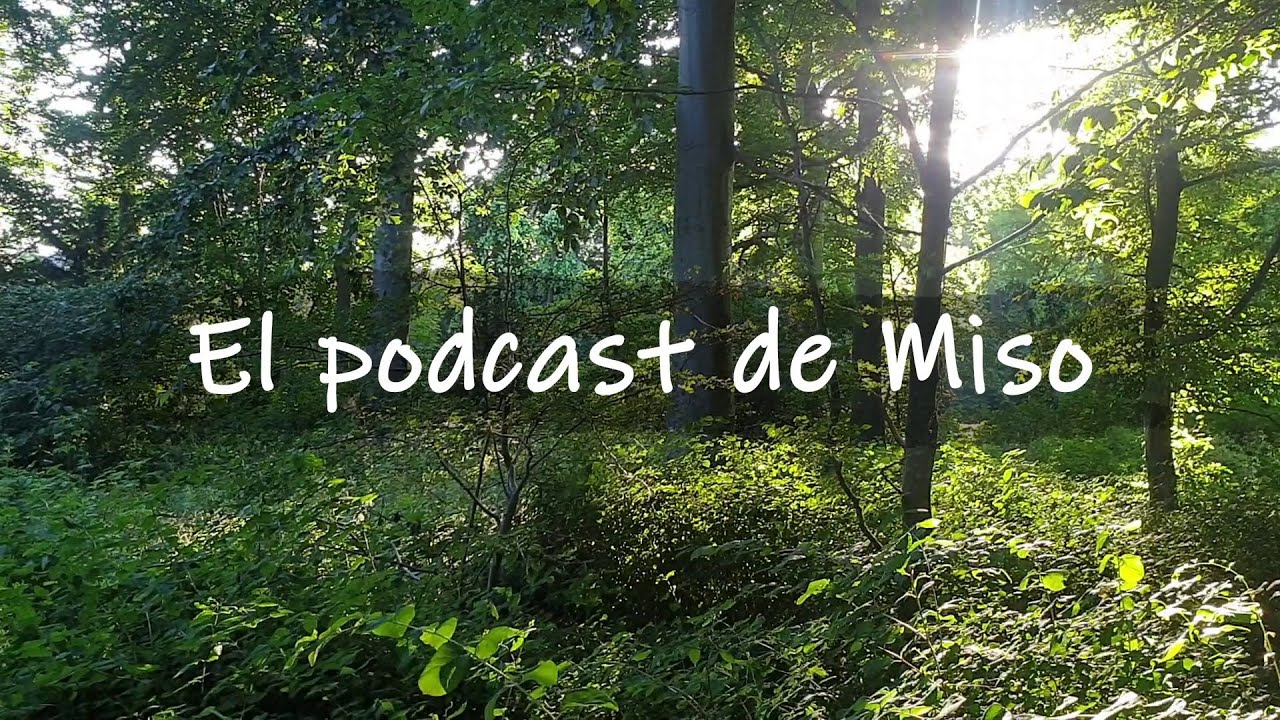 El podcast de Miso - Ep90  De vuelta (y caos, mucho caos)