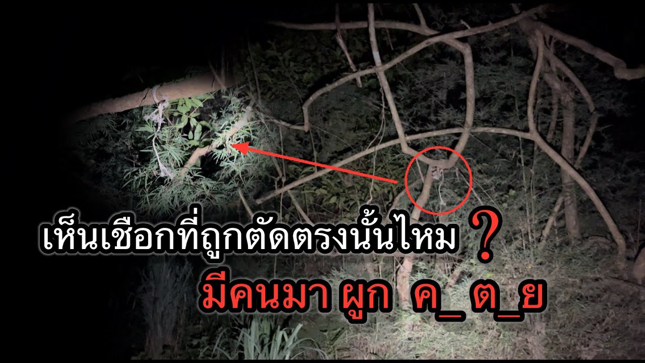 เห็นเชือกที่ถูกตัดตรงนั้นไหม ?  มันมีคนมาผูก คอ...