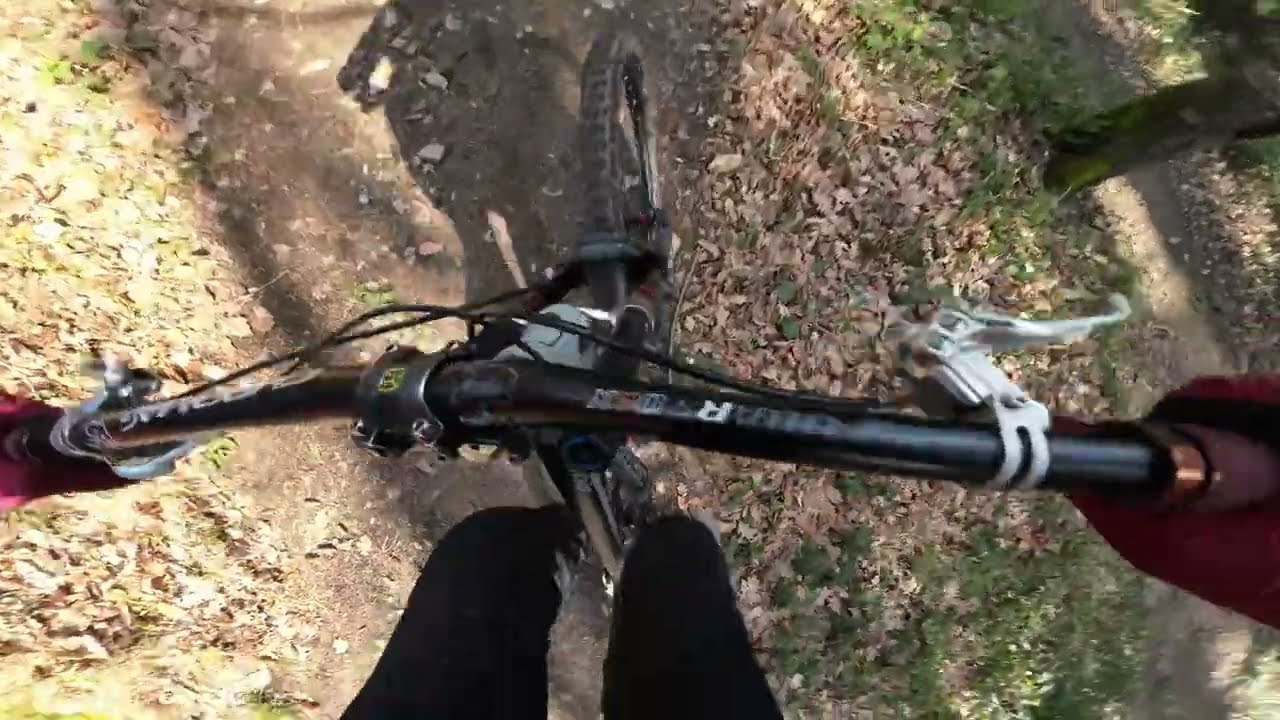 Canadian full run Freiburg