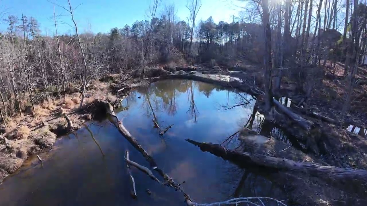 EmoryJohnsCreek Swamp and Creek Avata2 1 19 26
