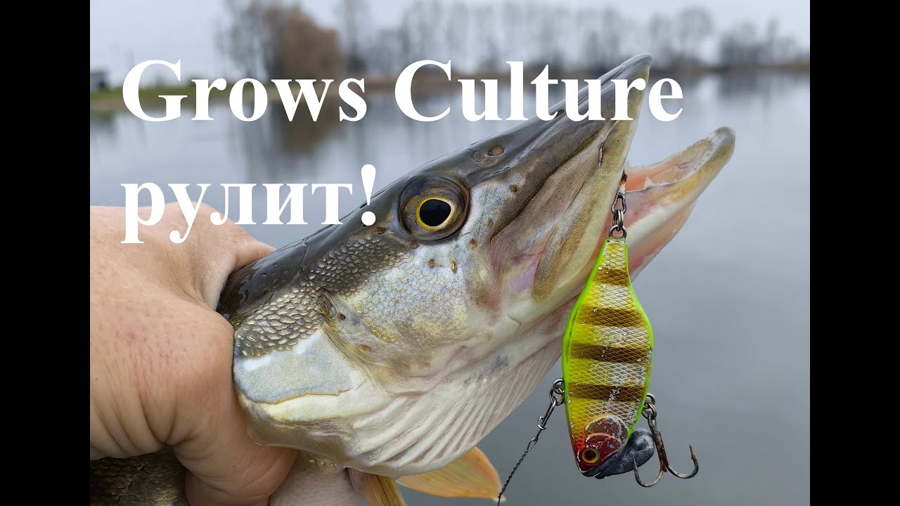 Наловил ЩУК НА РАТТЛИНЫ от Grows Culture!