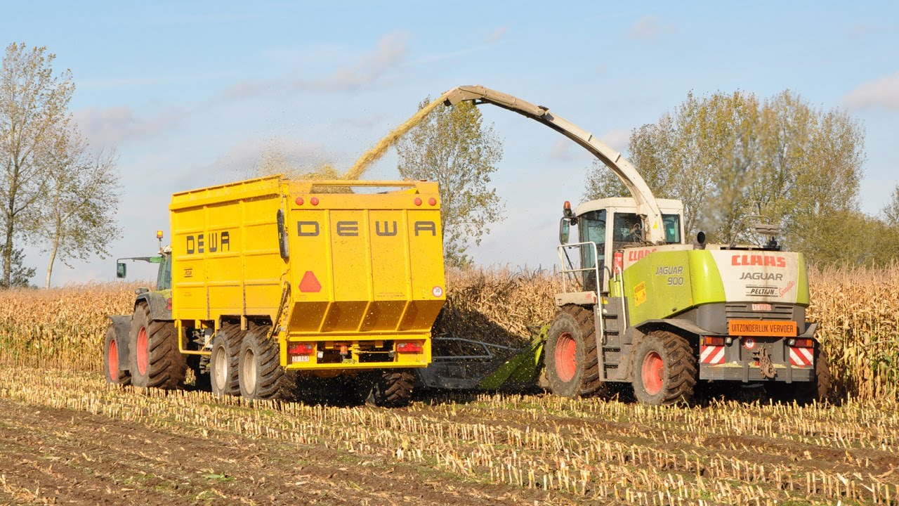 Loonwerk Peltijn Agri - Claas Jaguar 900 Speedstar - mais hakselen
