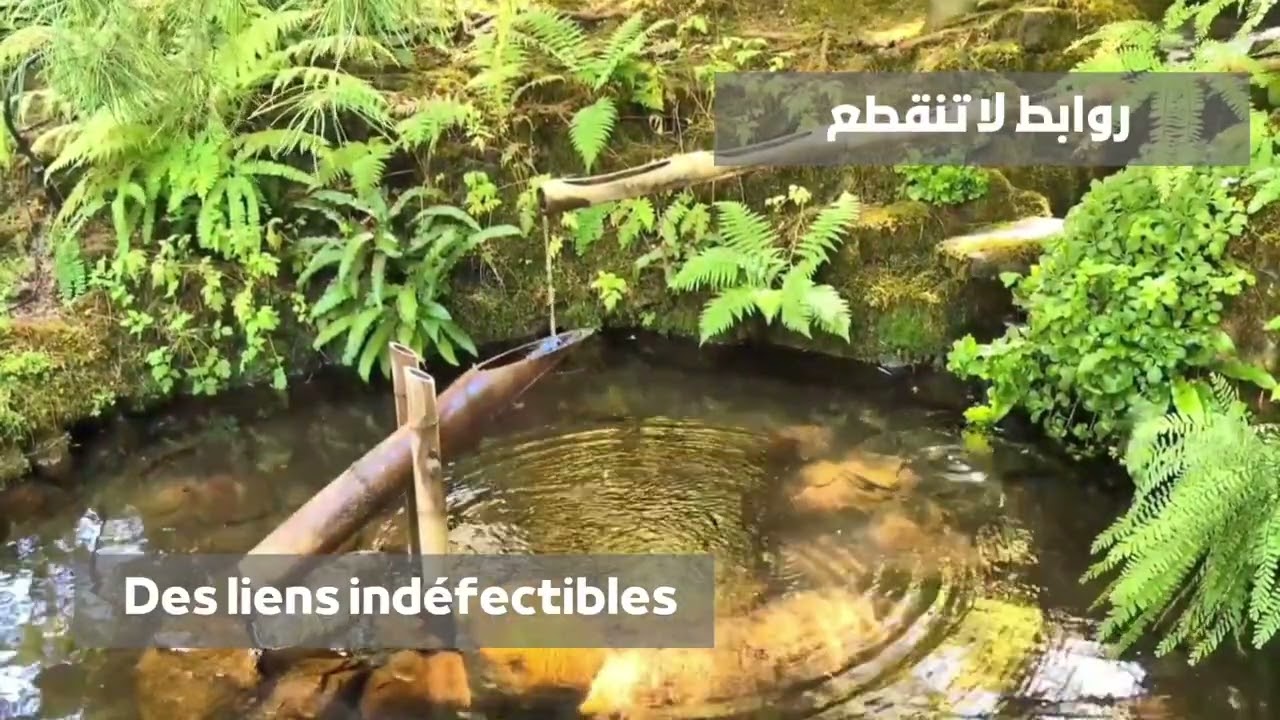 Des liens indéfectibles • روابط لا تنقطع