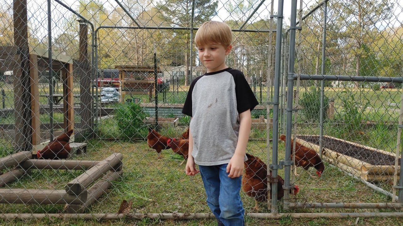 How To Build A Chicken Run - Cheap And Simple