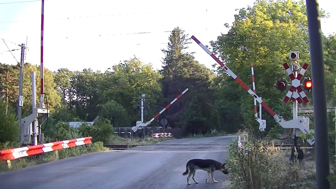 Spoorwegovergang Pasărea (RO) // Railroad crossing // Trecere la nivel
