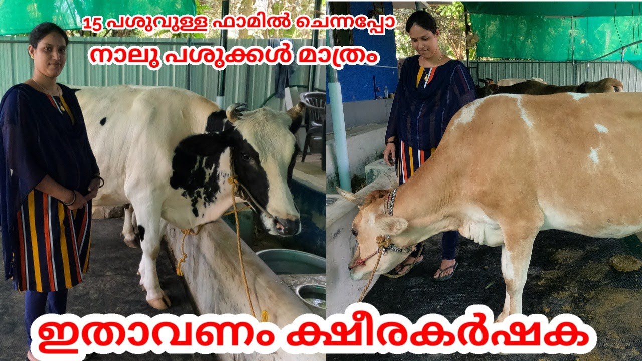ഓരോ ക്ഷീര കർഷകനും മാതൃകയാക്കണം പ്രിയയെ|Best dairy farmer kerala
