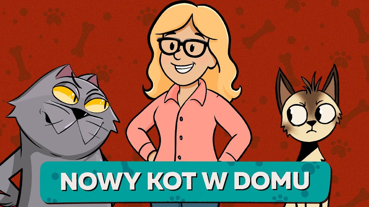 Nowy KOT w domu – jak wprowadzić go do stada.