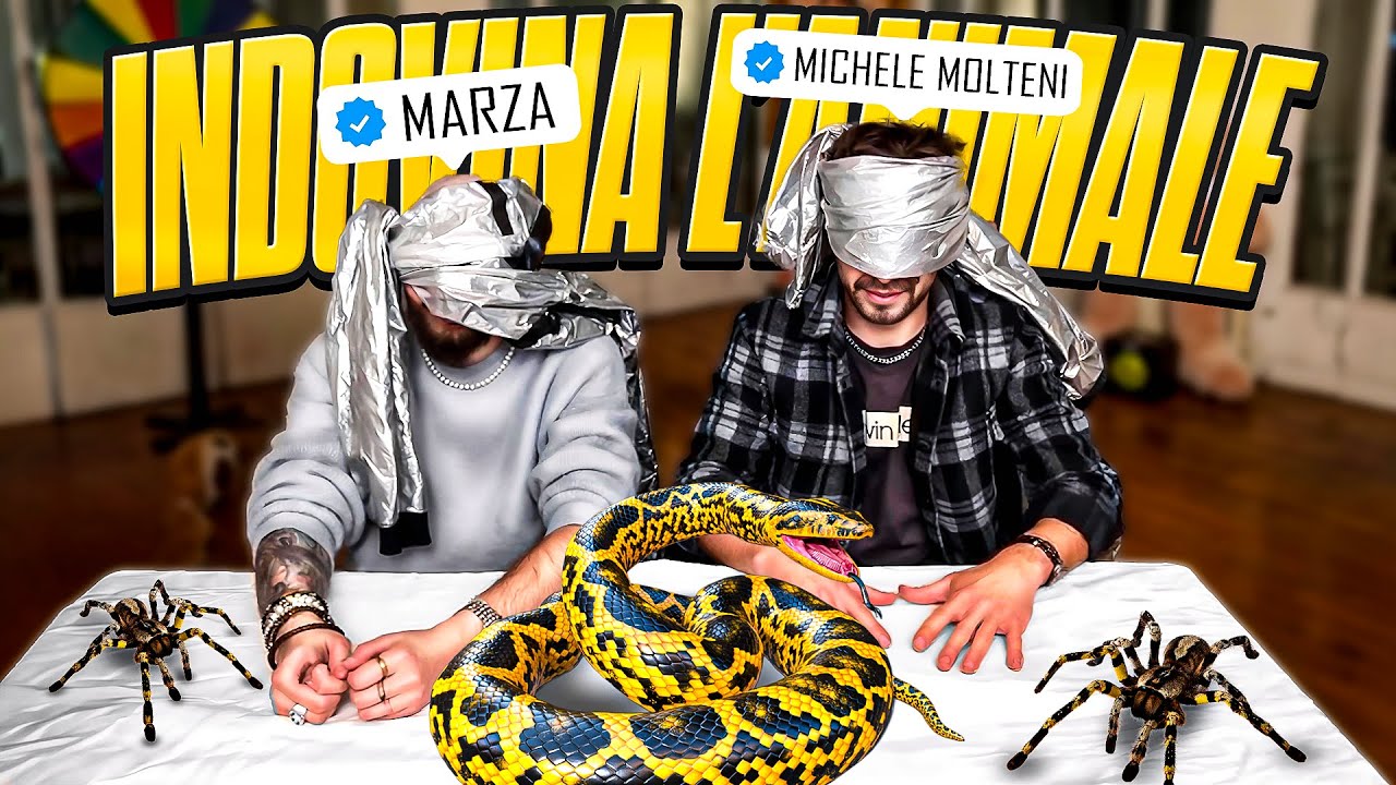 🐍INDOVINA L'ANIMALE Con Il Rosso,Marza,Michele Molteni & Tomas!