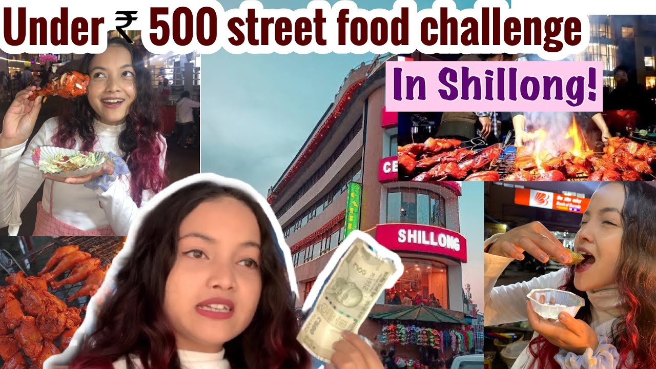 Rs 500 Street food challenge in Shillong 🔥|Best Chaat and Biryani| Fun around Shillong