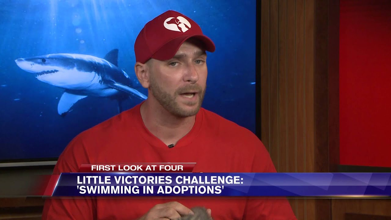 WSAZ First Look at Four - Little Victories - 'Swimming in Adoptions' Challenge