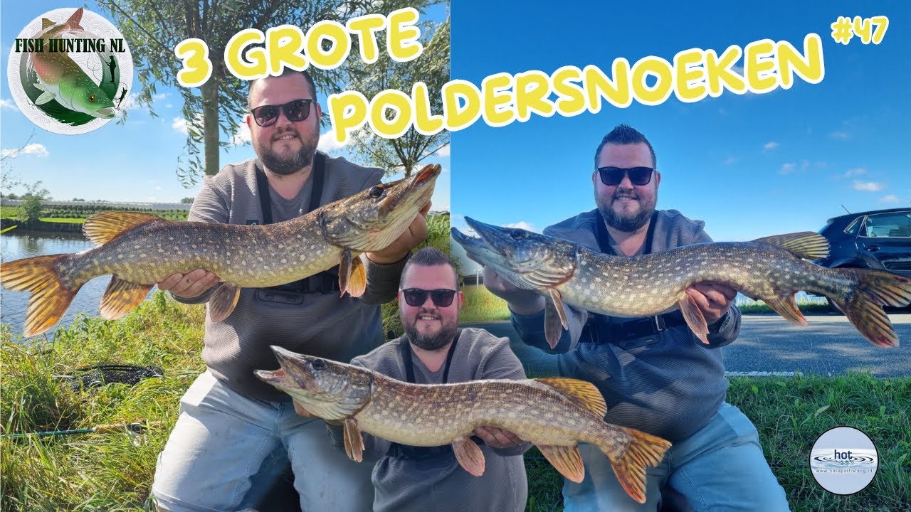 3 GROTE POLDERSNOEKEN op de SPINNERBAIT #47 FISH HUNTING NL